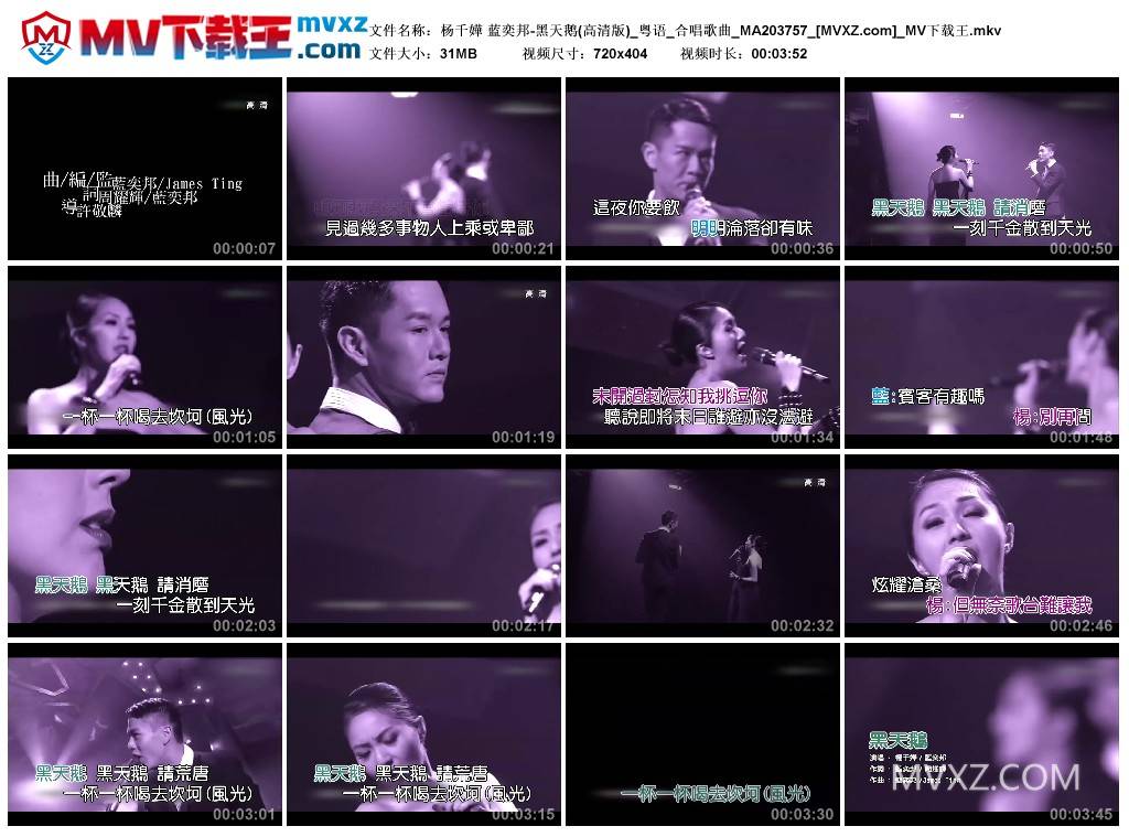 杨千嬅 蓝奕邦-黑天鹅(高清版)_粤语_合唱歌曲_MA203757